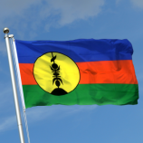 bandiera della Nuova Caledonia promozionale in poliestere prezzo di fabbrica
