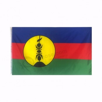 farbenreiches kundengebundenes Logo im Freien Neukaledonien-Flagge