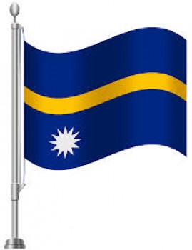 bandera de Nauru de gama alta personalizada de fabricantes con buen precio