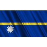 ナウルフラグループ1ストック映像ビデオ（100％ロイヤリティフリー）