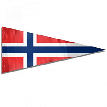 ミニポリエステルノルウェーの三角形の旗布バナーフラグ
