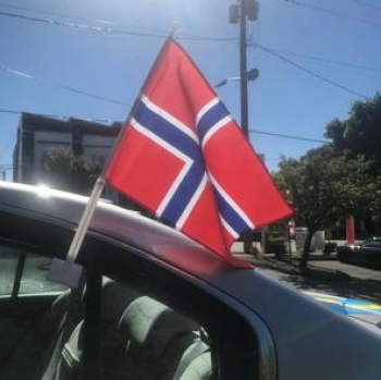 스크린 인쇄 폴리 에스테 노르웨이 국가 차 창 깃발