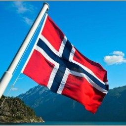 금관 악기 밧줄 고리를 가진 노르웨이 국기 3x5 FT 거는 노르웨이 국기