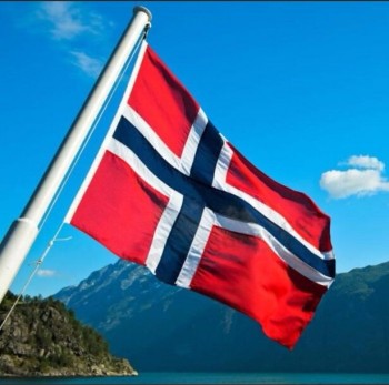 Noorse vlag 3x5 FT hangende nationale vlag van Noorwegen met messing doorvoertules