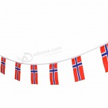 norueguês bunting banner futebol clube decoração noruega corda bandeira