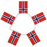 스포츠 이벤트 노르웨이 폴리 에스터 국가 문자열 플래그
