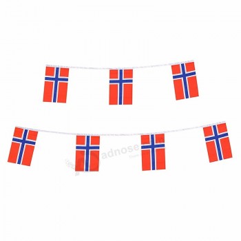 Norwegen-Schnurflaggenfußballvereinwimpel-Dekorationsflagge