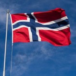 Norway National Flag Banner Norwegian Flag Polyester