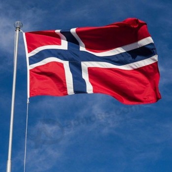 bandiera norvegese in poliestere di dimensioni standard all'ingrosso