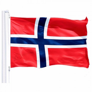 노르웨이 국기 3x5 FT 폴리 에스테 주문 깃발