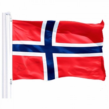 drapeau national de la Norvège 3x5 FT polyester drapeau personnalisé