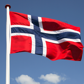 Drapeau national de la Norvège en polyester de haute qualité