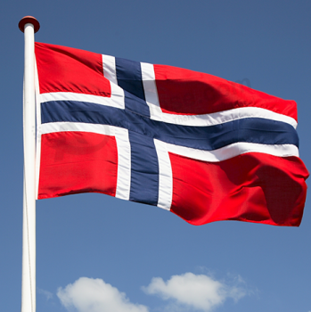 bandera nacional de poliéster de alta calidad de noruega