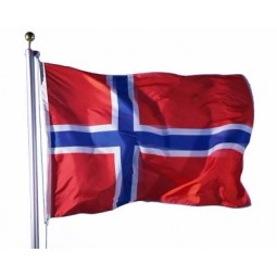 decorazione parete appesa bandiera della Norvegia