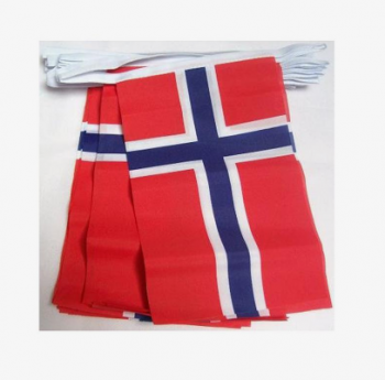 Factory Supply Norway Country Hanging Bunting Flag For Indoor