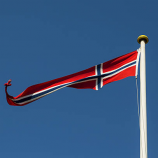 polyester printed national country triangle Norwegian flags
