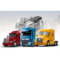 Поставщик фабрики высокого класса Paccar баннер с любым размером