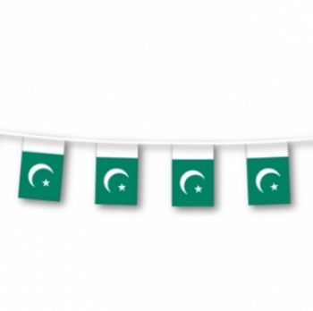 bandera decorativa de la bandera del empavesado de mini poliéster de Pakistán