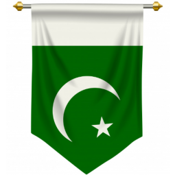 Decotive Pakistan national Pennant flag for hanging