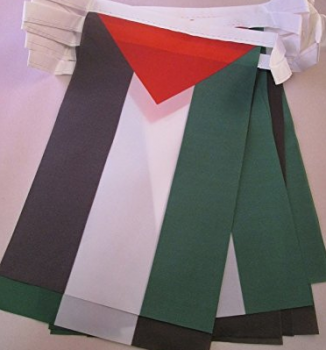 dekorative Mini Polyester Palästina Bunting Banner Flagge