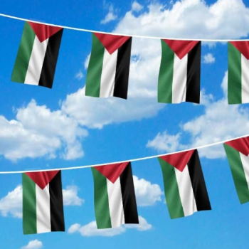 Bandera decorativa nacional del empavesado de la bandera de la cuerda de Palestina