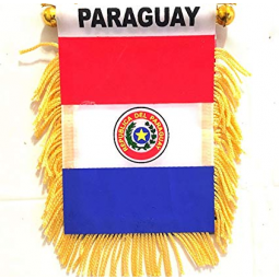 kleine mini autofenster rückspiegel paraguay flagge