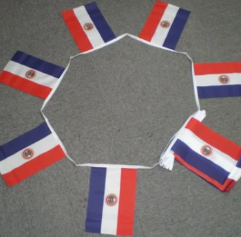 bandeira de bandeira de estamenha do Paraguai mini poliéster decorativo