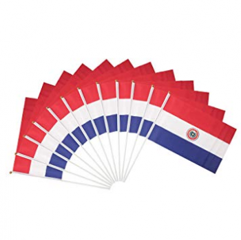 Impression numérique en plastique poteau Paraguay main secouant drapeau
