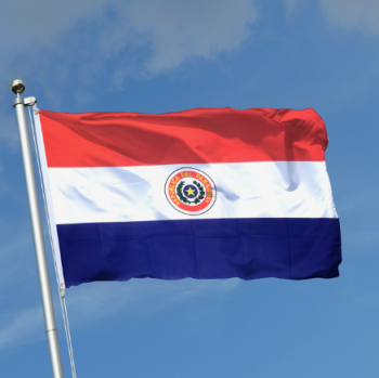 bandiera nazionale in poliestere 3x5ft stampata del paraguay