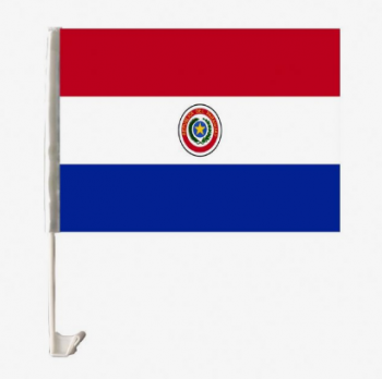 gebreide polyester mini paraguay vlag voor autoraam