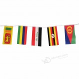 De hete decoratieve banner en de wimpel van de verkoopwereldbeker