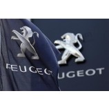 Peugeot and Dongfeng reach outline deal: sources