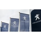 Peugeot Corporate Identity with high quality