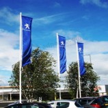 Unsere kontinuierliche Arbeit mit Peugeot und Citroen