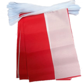 poland country bunting flag banners for celebration