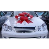 Grand arc et grand arc rose pour voiture 