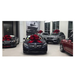 grands arcs de voiture à vendre