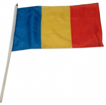 Fan che sventolano le bandiere nazionali tenute in mano della mini Romania