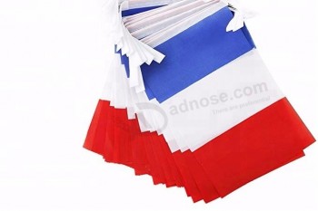 Custom france string flag, france bunting flag