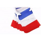 aangepaste frankrijk string vlag, vlag van Frankrijk bunting
