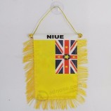 hete verkopende snelle levering aangepaste wimpel banner