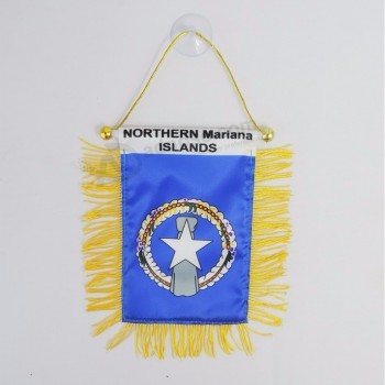 Vivid  color fast delivery pennant