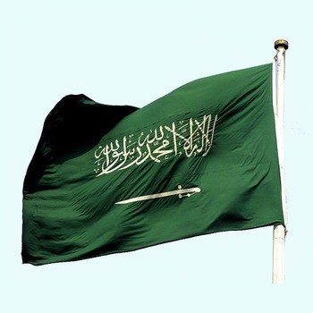 Impresión de fábrica 3 * 5 pies bandera del país de arabia saudita