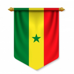 Indoor decorative polyester Senegal pennant flag custom