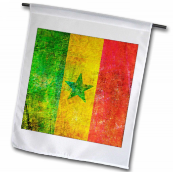 Polyester Low Price Senegal National garden Flag custom