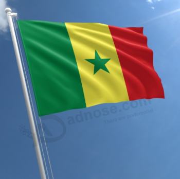 세네갈의 옥외 3x5ft 기치 국가 폴리 에스테 깃발
