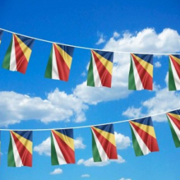 bunting vlag banners van de seychellen land voor viering