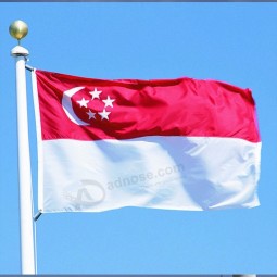 Bandiera di paese nazionale di vendita calda della porcellana di Singapore fatta