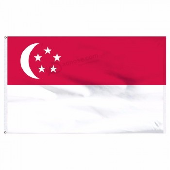 Drapeau du pays de Singapour en plein air échange culturel drapeau national suspendu