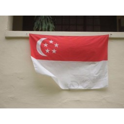 Professional custom made Singapore country banner flag